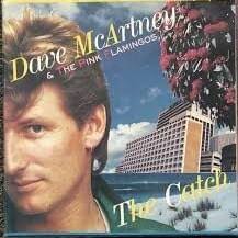 Dave McArtney And The Pink Flamingos