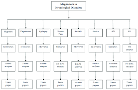 Flow Chart Of Magnesium In Neurological Disorders Literature