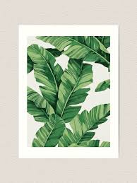 Tropical Banana Leaves Art Print By Catyarte Leaf Art Banana Leaf Art Art Prints