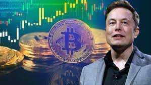 Son Dakika Haberi Bitcoin De Hareketli Dakikalar Elon Musk Yeniden Devreye Girdi
