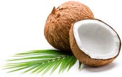 Image result for free images of coconuts and oil