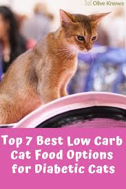 Check out the top 12 most respectable diabetic cat food brands on the market today and choose the best cat food for your diabetic feline. Top 7 Best Low Carb Cat Food Options For Diabetic Cats Oliveknows Cat Food Senior Cat Care Cat Care