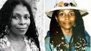 She-devils driven by vengeance