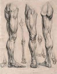 Pin On Drawing Techniques