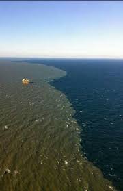 Mississippi River Meets The Gulf Scenic Photos Cool Pictures Scenic