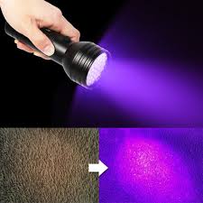 Pet Urine Detector Light Handheld Uv Black Light Flashlight Portable Dog Cat Urine Carpet Detector Super Bright 51 Led Uv Light For Pet Stain Minerals Automotive Leak Detection Walmart Com Walmart Com
