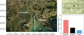 Microplastics In Mangrove Sediments Of The Pearl River Estuary South China Correlation With Halogenated Flame Retardants Levels Sciencedirect