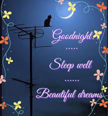 I Hope You Sleep Well And Have Beautiful Dreams Beautiful Dream Neon Signs Better Sleep