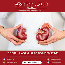 bobrek hastaliklari bobrekleriniz vucudunuzdaki artik maddelerin atilmasini vucut sivi ve elektrolit dengesini saglayan bazi ho beslenme diyetisyen protein