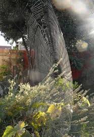 How to stop the spiders from getting into your garden? 520 Come Into My Parlour Ideas In 2021 Spider Web Spider Art Spider