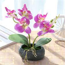 Even some of the high end home and decor stores use our flowers to compliment. V 1229 Artificial Plants Pots Silk Artificial Orchid Flowers In Oval Vase For Table Decoration Buy Artificial Orchid Silk Orchid Wholesale Artificial Orchid Flowers Product On Alibaba Com