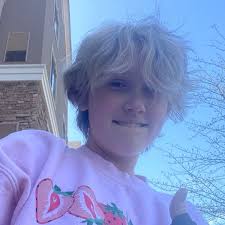 Girl, stolen by April Henry