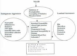 Image result for Intestinal Enteropathy