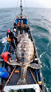 Maria Khan - Big Fishing #reelsviralfb #viralreelsfb... | Facebook