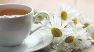 Wajah chamomile teh segar chamomile minyak biru chamomile teh organik herbal teh chamomile chamomile bunga herbal teh chamomile bunga chamomil teh. Lagi Diet Konsumsi Teh Chamomile Sebelum Tidur Yuk Bisa Bikin Jadi Ini Loh Tribunstyle Com