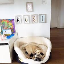 Instagram Photo By Stationery Community Jul 14 2016 At 3 46pm Utc Hundezimmer Haus Gestalten Hunde