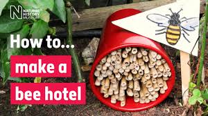 Maybe you would like to learn more about one of these? How To Make A Bee Hotel Natural History Museum