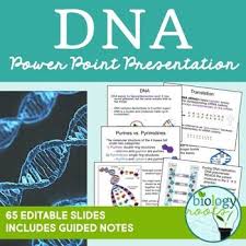 Dna Notes Powerpoint Presentation Dna Replication High School Science