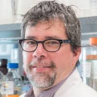 40+ perfiles de «Boffa»