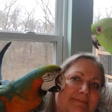 What causes unusual feathers