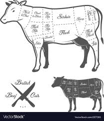 British Butcher Cuts Of Beef Diagram