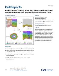 Achieving ra and maximize raid tools by ahmad fairuz ali. Culture Design Comparison A Liquid Liquid Interface Lli B Download Scientific Diagram