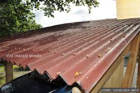 Tole Ondulee Bitumee Abri Voiture Abris Voiture Bois Comment Construire