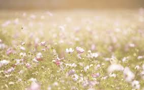 Maybe you would like to learn more about one of these? J C Green Sons Funeral Home Thomasville Nc Funeral Home And Cremation
