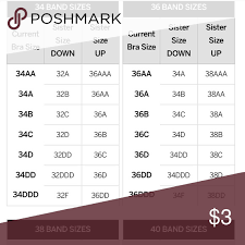 sister size bra chart dont buy sister sizes victorias