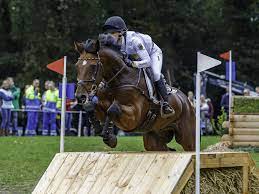 Auch isabell werth unter den neu nominierten athleten © afp. Die Vielseitigkeitskader 2020 Stehen Fest