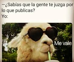 917 Me Gusta 11 Comentarios Yoly Yoly82 En Instagram Funny Memes Fun Drinking Games Memes