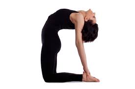 The camel pose is an intermediate level back bending posture that stretches the whole front of the body. Top 7 Health Benefits Of Ustrasana Camel Pose