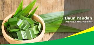 Check spelling or type a new query. Daun Pandan Obati Lemah Saraf