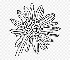 Download 2,300+ royalty free sunflower black and white vector images. Black Back Outline Drawing Flower White Plant Sunflower Clip Art Free Transparent Png Clipart Images Download