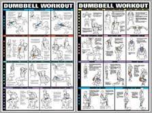 Leg Workout Professional Fitness Gym Instructional Wall