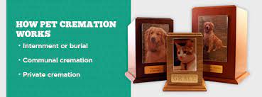 The basic pet cremation costs in greenville, nc for this service may include such things as a name plate and monthly fees. Guide To Pet Cremation How It Works What To Expect Agape