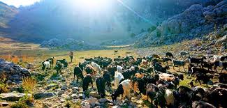 Bir Yoruk Hikayesi Son Goc Resimler Gulme Mizah