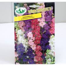 Fra l'erba sbocciano le pratoline. Vendita Semi Di Delphinium Semi Fiori Mondo Piante