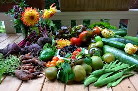 We did not find results for: Spring Has Sprung Starting A Family Vegetable Garden Seattle S Child