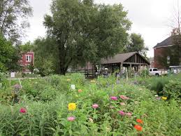 Are bees good for your garden. What Can Bees Teach Us About Building Better Urban Ecosystems
