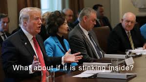Maybe you would like to learn more about one of these? A Thread From Nicholasddyer I Think You Should Leave Quotes On Photos Of Trump