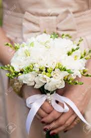 We did not find results for: Wedding Bouquet From White Freesias Closeup In Bride S Hands Stock Photo Picture And Royalty Free Image Image 10551981
