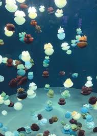 Baltimore's Inner Harbor offers something for everyone