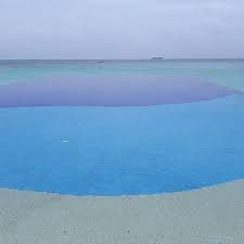 Check spelling or type a new query. Hotel Prestigieux Aux Maldives Ja Manafaru Personnel Serviable Aimable Disponible Un Lieu Paradisiaque Exceptionnel Des Restaurants