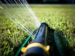 Should i be checking the weather forecast and do it only if it's not going to rain tomorrow or the day after? 6 Tips For Watering Your Lawn In Charlotte Lawnstarter