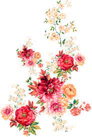 Digital Flower 000000218 In 2021 Digital Flowers Flower Drawing Flower Png Images