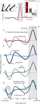 See muscle anatomy stock video clips. Frontiers The Motion Of Body Center Of Mass During Walking A Review Oriented To Clinical Applications Neurology