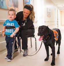 This method of healing is not only used to help relax patients, but it is also used to set goals for the patients. Animal Assisted Therapy Dog Joins Staff At Mary Free Bed