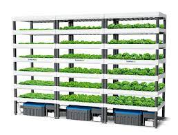 Red Dot Design Award Modular Plant Factory System Vertical Garden Systems Hydroponics System Vertical Farming