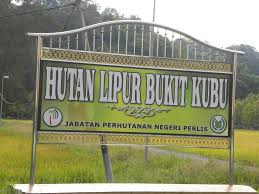 Anjuran jabatan perhutanan negeri perlis tawaran pakej perkhemahan 2 hari 1 malam di taman negeri perlis, wang kelian. Jabatan Perhutanan Negeri Perlis Photos Facebook